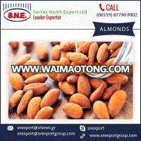 100% Fresh Organic Almonds for Bulk Purchase