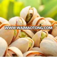 Best Quality Pistachios Nuts / Raw and Roasted