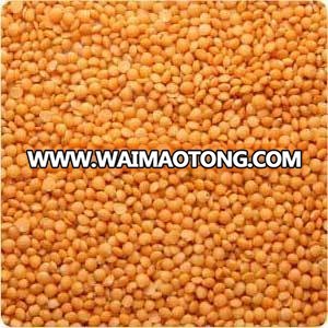 Good quality Red Lentils/ Kidney beans at cheap prices,/dried green lentils export lentils