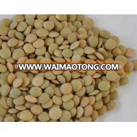 Good quality Red Lentils/ Kidney beans at cheap prices