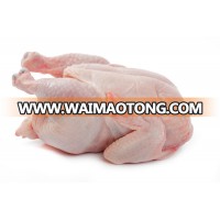 Whole frozen chicken calibrated, HALAL packed in the carton.!!! Gold Supplier !!!