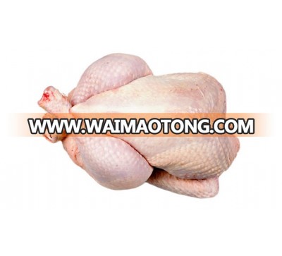 halal quality chicken the whole chicken