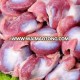 Halal Frozen Chicken Gizzard/Liver/ head/ backs/ neck/ premium quality