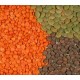 100% Red Split Lentils & Green Split Lentils , Lentils Beans Suppliers for Sale at cheap prices GOOD Grades and best Offer 2017