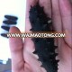 Sea cucumber importers price